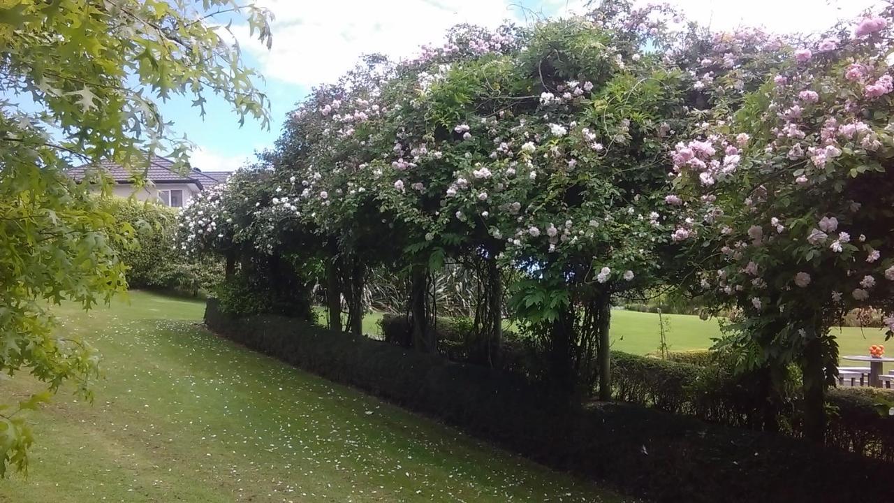 وانجانيو Shurinji المظهر الخارجي الصورة